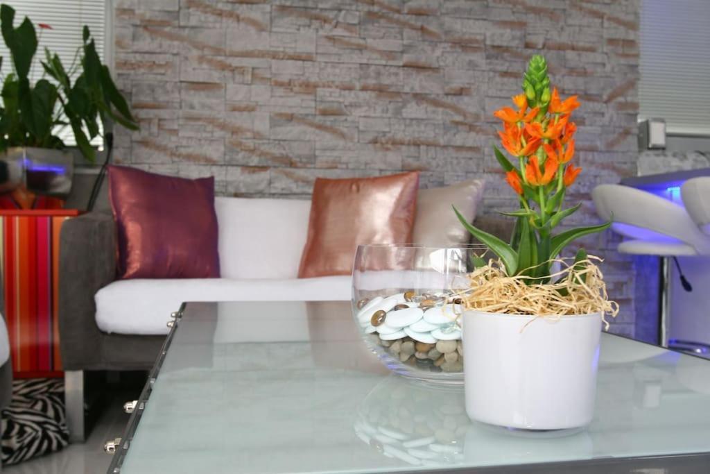 Nice Life - Luxury Apartment In The Old Town. Bratislava Eksteriør billede